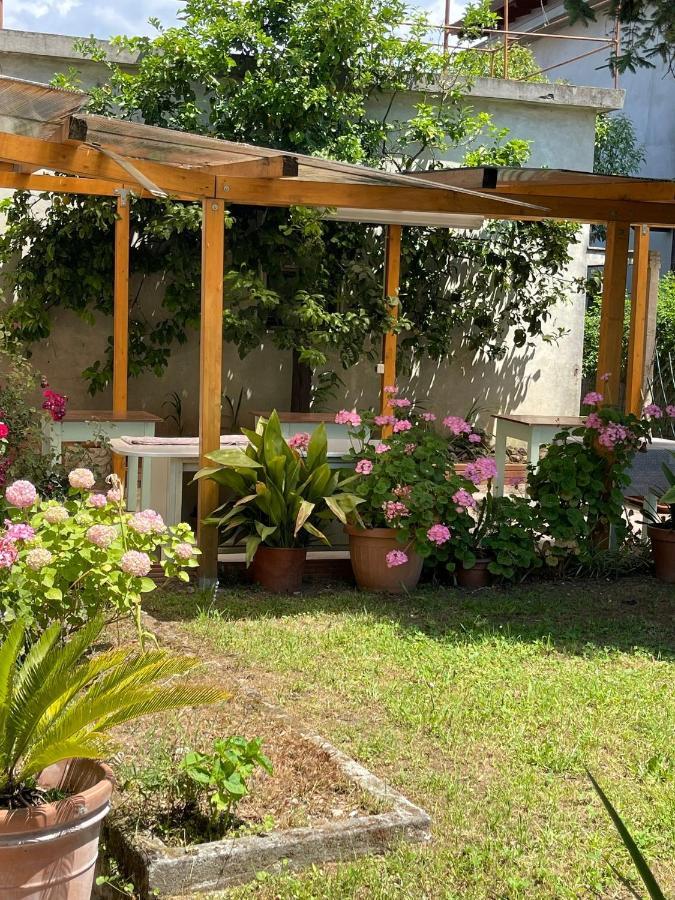 Casa Violetta Bed & Breakfast Marina di Massa Eksteriør billede